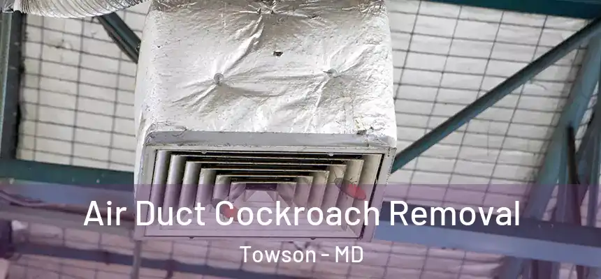  Air Duct Cockroach Removal Towson - MD