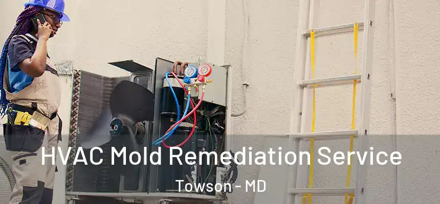  HVAC Mold Remediation Service Towson - MD