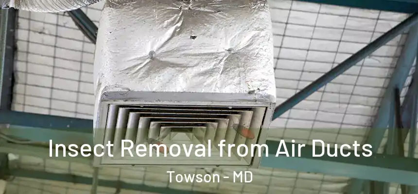 Insect Removal from Air Ducts Towson - MD