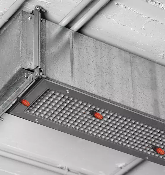 About Air Duct Cockroach Removal in Towson, MD