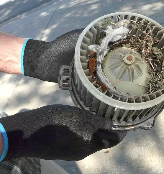 About Air Duct Mice Removal in Towson, MD