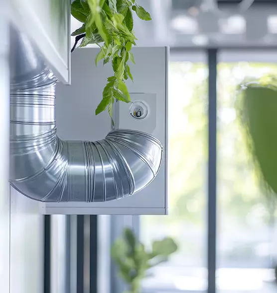 Professional Eco-Safe Dryer Vent Cleaning in Towson, MD