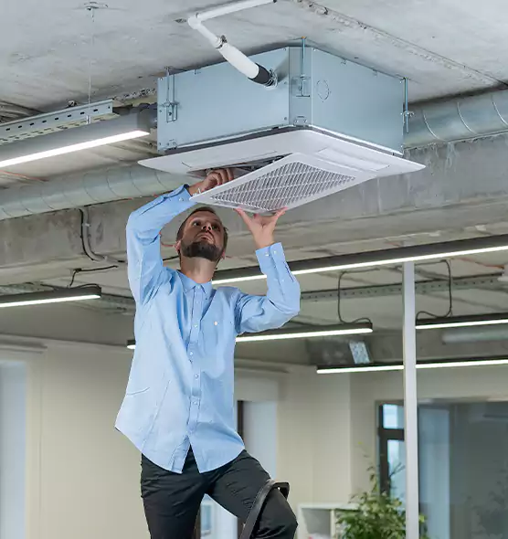 Advanced Rodent Droppings In Vents in Towson, MD