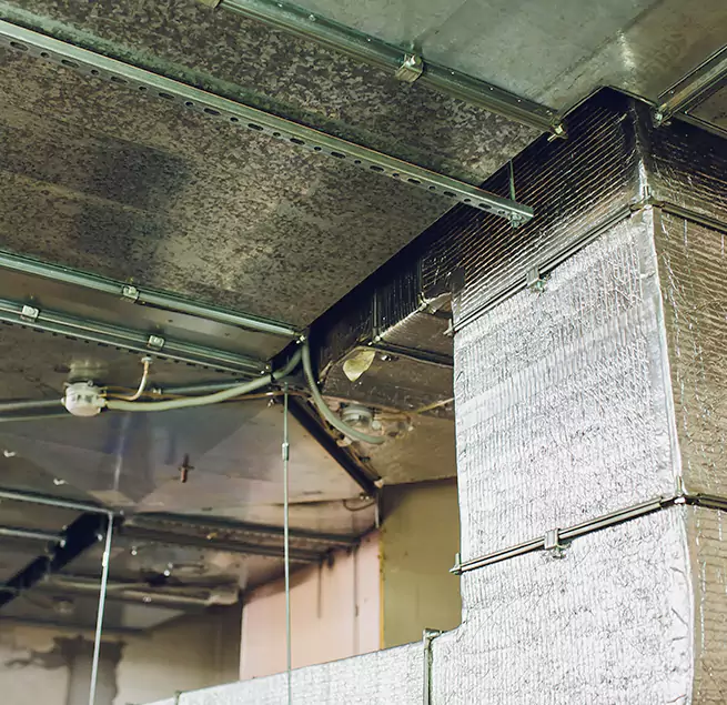 Why Homeowners & Businesses Trust Us in Towson, MD?